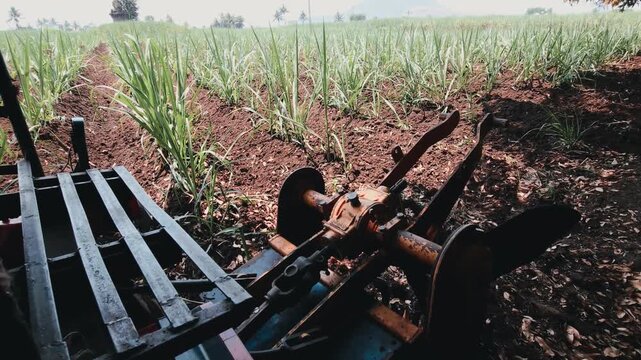 A tractor-mounted tiller breaks up soil between green sugarcane rows. Its mechanical parts, like the PTO shaft, help aerate the earth and control weeds to ensure healthy, productive crop growth