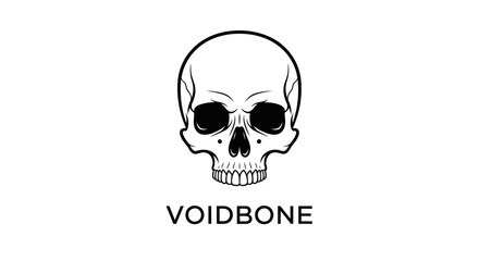 Human Skull Illustration in Black. © Story