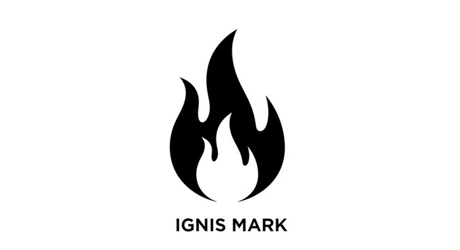 Black flame icon with text below.