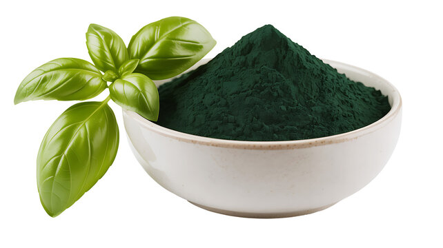 Bowl of green spirulina powder with fresh basil leaves isolated on transparent checkered background.