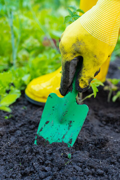 Gardening with a green trowel and yellow gloves
