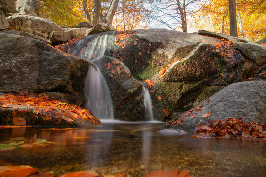 Autumn forest waterfall with fallen leaves and rocks