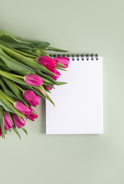Pink tulip bouquet next to blank spiral notebook