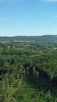 Aerial view of dense green forests and rolling hills under a clear blue sky in the Morvan countryside, France.