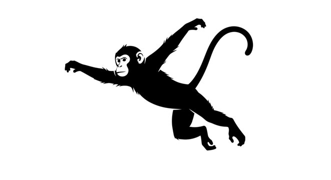 Silhouette of a monkey in mid-air.
