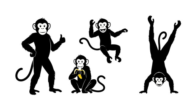 Set of Four Black Monkey Silhouettes in Various Poses.