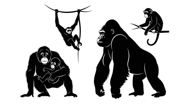 Collection of Primate Silhouettes Including Gorillas and Monkeys.