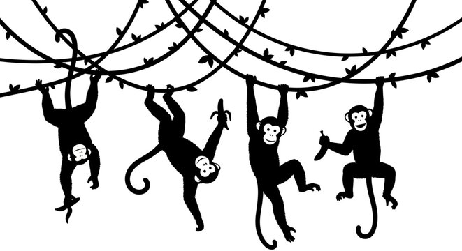 Four Silhouettes of Monkeys Swinging on Vines.