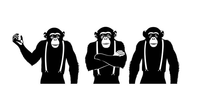 Three chimpanzees wearing suspenders in different poses.