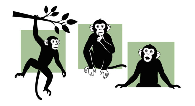 Three Monkeys Depicting See No Evil Hear No Evil Speak No Evil.
