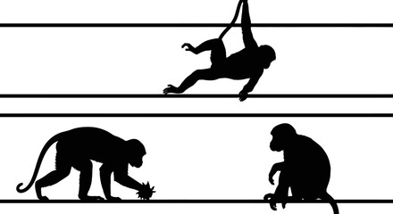 Silhouette of three monkeys in different poses on horizontal lines. © Keila