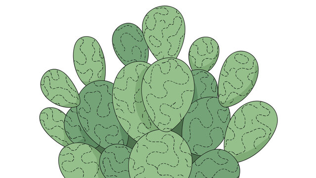 Stylized illustration of a prickly pear cactus with multiple overlapping green pads and dashed line textures on a clean white background.
