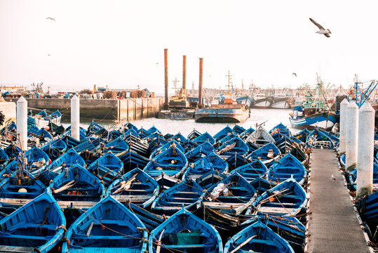 Fishing boats anchored in calm harbor dock in Marrakech