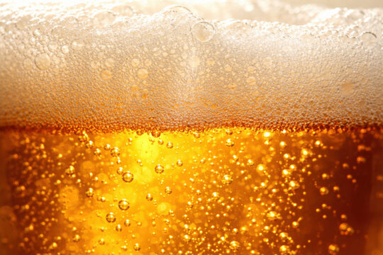Refreshing close up of golden alcoholic beer with light shining through liquid. fine bubble of drink and beverage rises to rich foam for satisfying moment