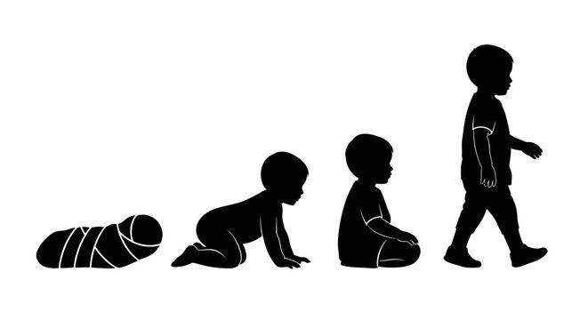 Stages of human development from infancy to toddlerhood.