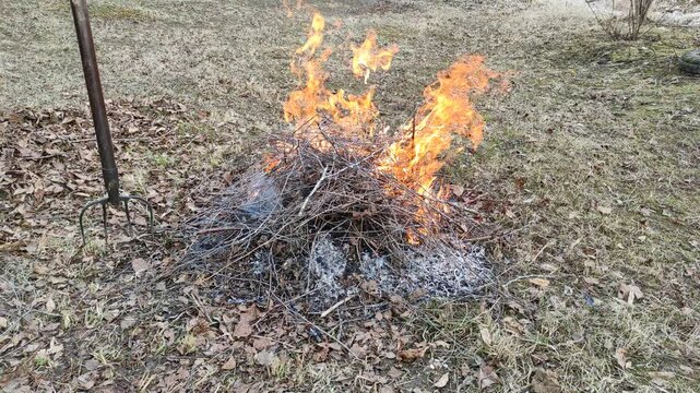 A small bonfire of dry branches and leaves