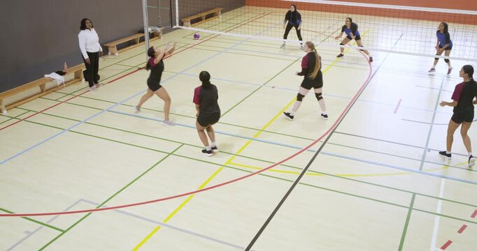 Near-side women's team in black-maroon jerseys at gym receiving right serve spiking net to score