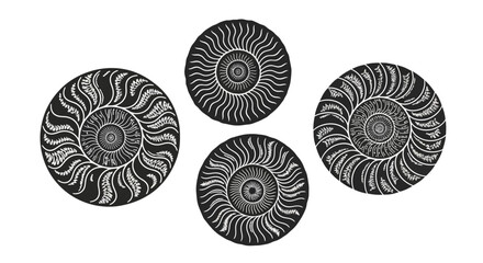 Four stylized ammonite fossils, black and white, graphic design, ancient marine life © Amazing