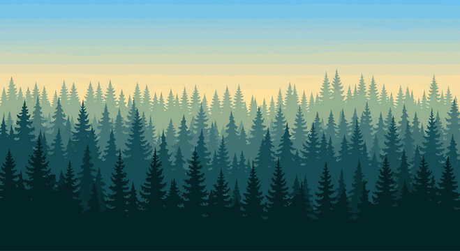 Misty Forest Landscape with Evergreen Trees and Gradient Sky