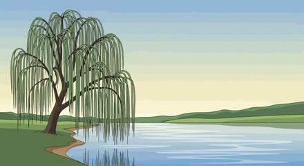 Weeping Willow Tree by Serene River Landscape, Calm Water Reflection, Greenery, Blue Sky © Amazing