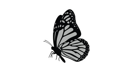 A detailed grayscale image depicting a monarch butterfly in profile showcasing intricate wing patterns a striking silhouette high quality professional © sakib