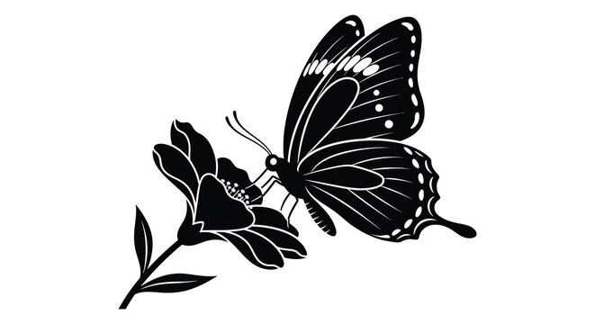 A delicate butterfly rests upon a blossoming flower depicted in a striking black and white silhouette high quality professional detailed modern