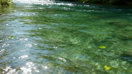 Naklejka premium Clear flowing river water with floating leaves