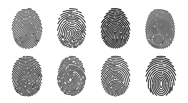 Set of 8 Unique Fingerprint Icons - Identity, Security, Biometric Authentication