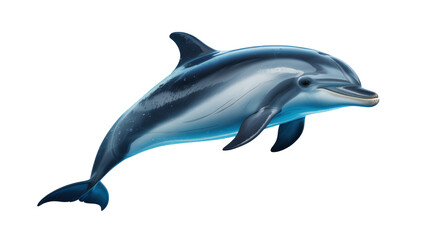 Obraz premium Gray and blue dolphin swimming to the right animal isolated on a transparent background