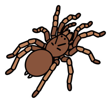 Exotic tarantula spider illustration top view isolat.... Generative AI