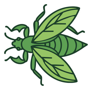 Leaf insect phyllium vector illustration top view. Generative AI
