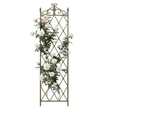 Intricate geometric trellis design with climbing plant vines and leaves