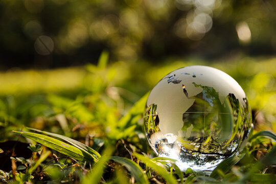 World in Green: A crystal globe rests serenely upon a bed of vibrant green grass, encapsulating the essence of environmental preservation and the interconnectedness of our world.
