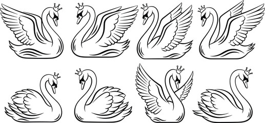 swan, bird, elegant, wings, crown, royal, graceful, animal, wildlife, outline, lineart, set, collection, decorative, design, tattoo, symbol, vector, illustration, icon © Anamul Arafat