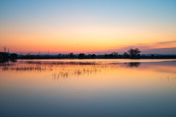 Fototapeta premium Serene wetland sunset with tall grass reflections in calm water.
