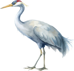 Naklejka premium Watercolor Crane Painting, Wetland Bird illustration isolated on white background