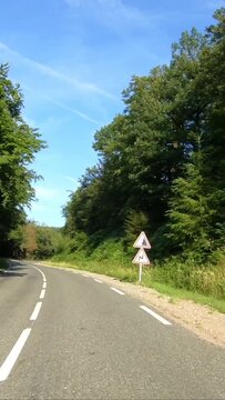 Empty winding road passing through lush green forest under a clear blue sky in the Morvan region of France. Peaceful summer landscape ideal for travel and nature concepts.