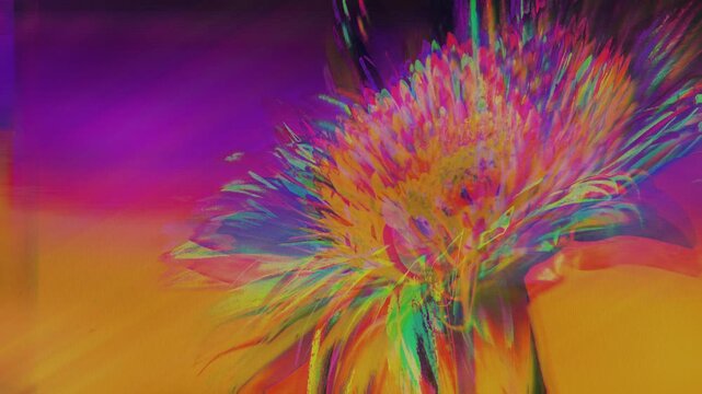 Psychedelic floral glitch with chromatic aberration and wave warp distortion pulsing on yellow background. Animated glitchy flower texture for summer festival flyer and rave poster design.