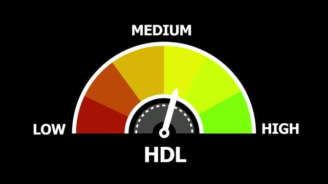 L Cholesterol Gauge Meter Showing Levels from Low to High with Color Indicator Medical Health Concept