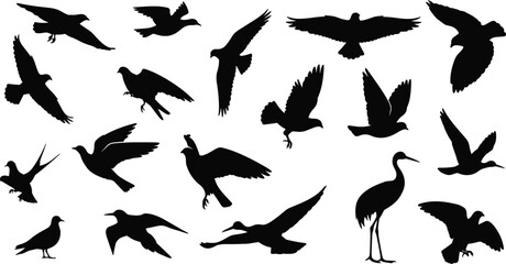 Obraz premium Flying Bird Silhouette Collection Featuring Various Avian Species in Different Wing Positions for Wildlife Nature Design and Graphic Illustration Projects.