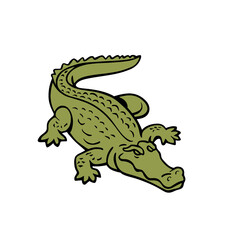 Fototapeta premium tiny crocodile