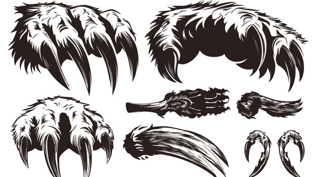 Black and white illustration of various animal claws and paws, each with sharp claws