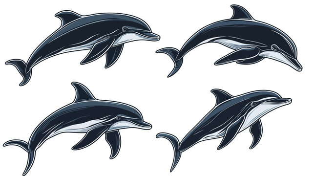Artistic depiction of four aquatic mammals. Each in different pose, creating a symmetrical design