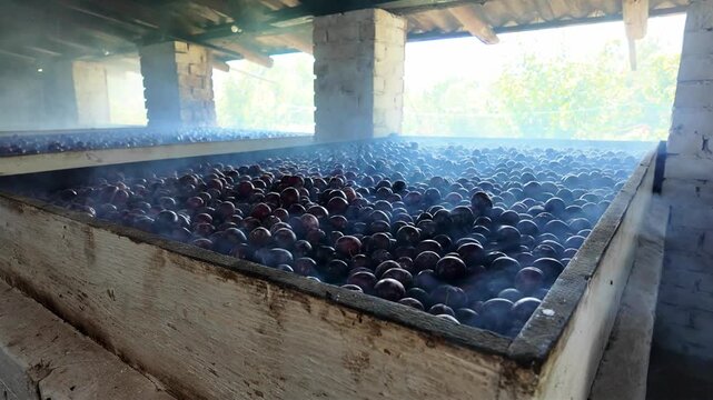 Rustic smoke-filled room with several plum drying kilns. Smoke slowly rises through the fruit, showing the authentic process of making prunes using natural wood-fired drying in a countryside setting.