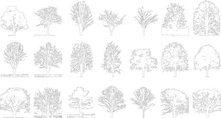 Collection of diverse black and white line of various deciduous and coniferous trees with detailed branches and foliage outlines © Pixel Park