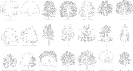 Collection of diverse tree outlines in black and white line style for architectural or use © Pixel Park