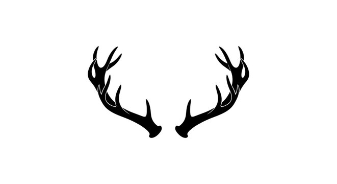 Deer Antlers Silhouette Closeup.