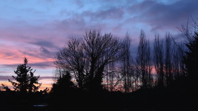 Rural Winter sunset with seasonal leafless trees and pine tree on the background. Suburbs area of London. timelapse.