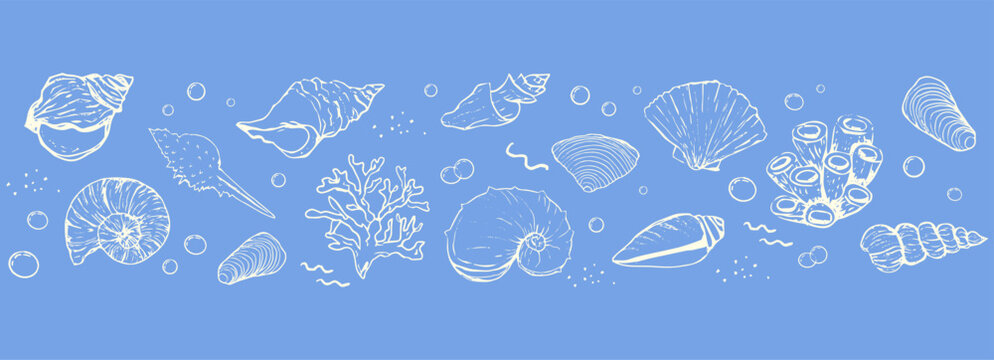 Seashells and starfish set sketch hand drawn seamless border coastal horizontal pattern on blue background. Summer vacation design elements for trendy prints, 