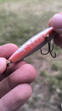 Close up of angler hands showing a heavily scratched artificial fishing lure with visible pike teeth marks outdoors